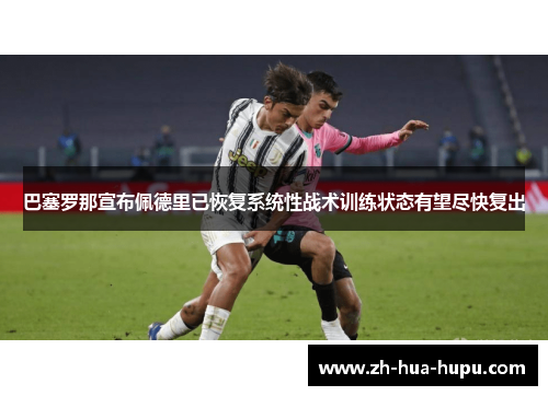 巴塞罗那宣布佩德里已恢复系统性战术训练状态有望尽快复出 巴塞罗那宣布佩德里已恢复系统性战术训练状态有望尽快复出